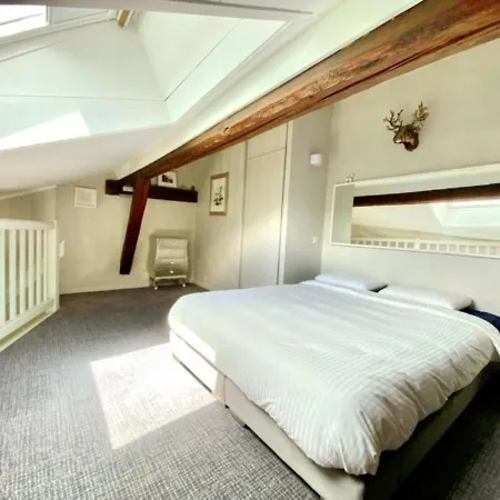 Apartament Downtown Alpine Loft *